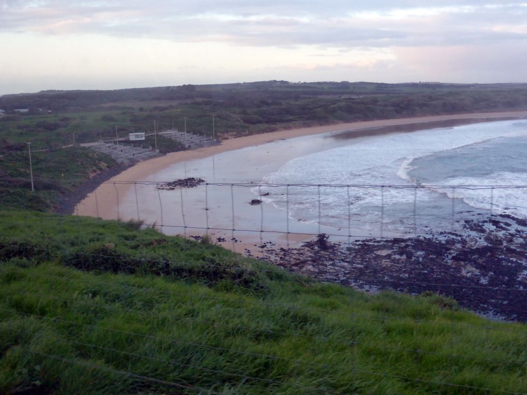 The Penguin Parade Beach with the grandstand, viewed from our tour bus at St. Helens Road