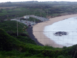 The grandstand at the Penguin Parade Beach, viewed from our tour bus at St. Helens Road