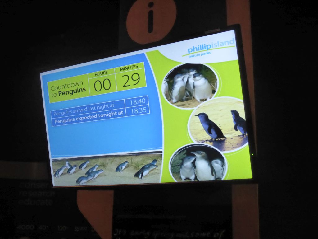 Countdown to the Penguin Parade, at the Penguin Parade Visitor Centre