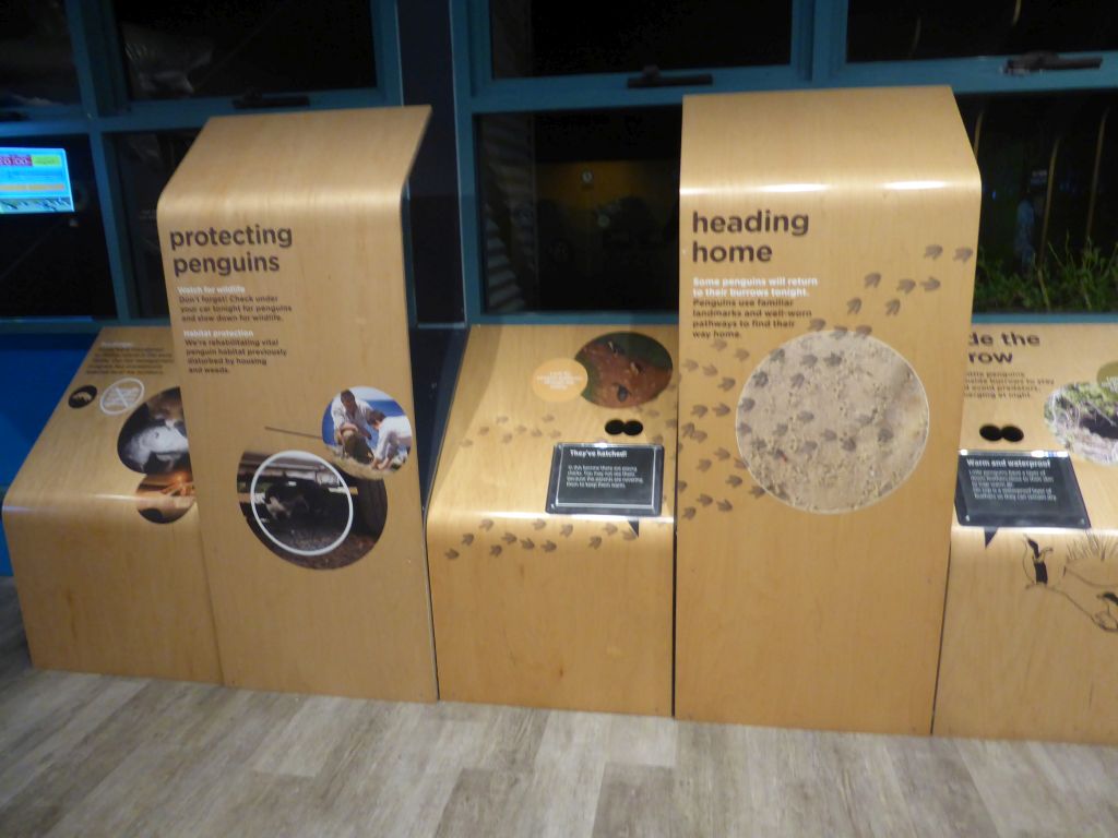 Exhibition at the Penguin Parade Visitor Centre