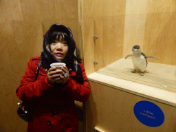 Miaomiao with a stuffed Little Penguin at the exhibition at the Penguin Parade Visitor Centre