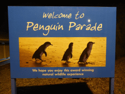 Poster at the entrance to the Penguin Parade Visitor Centre, by night
