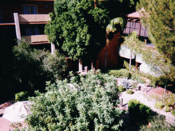 Inner garden of the Embassy Suites Hotel