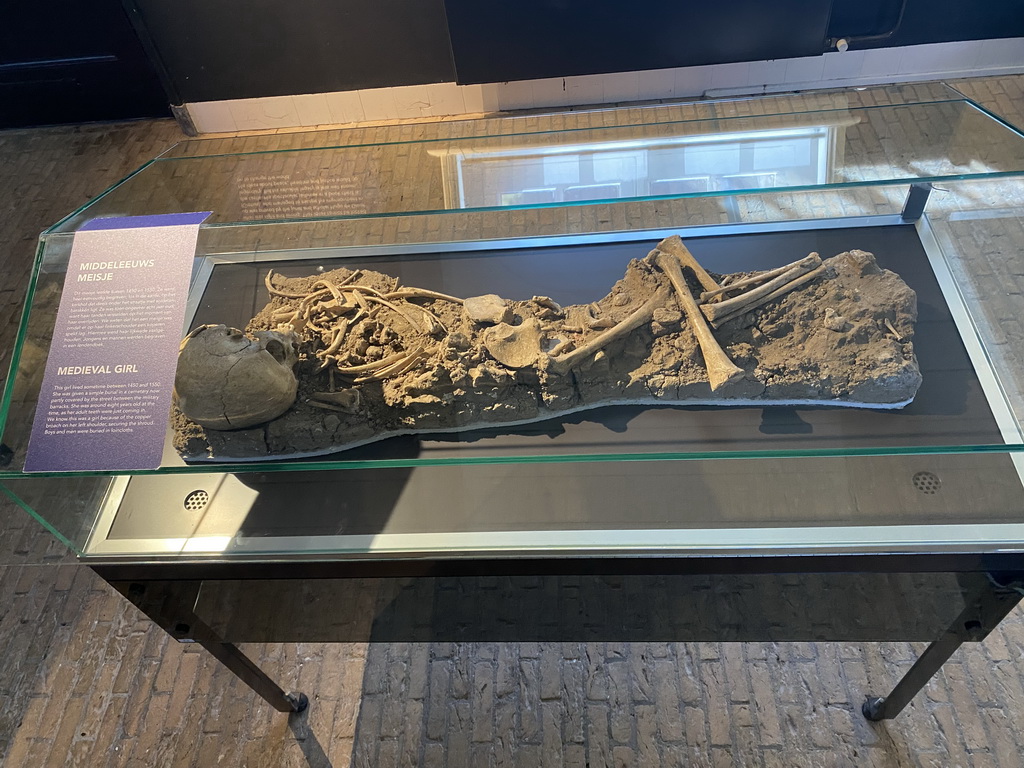 Skeleton of a medieval girl at the Expo at Loevestein Castle, with explanation