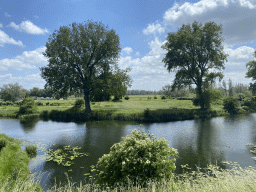 Southeast moat of Loevestein Castle, viewed from the southeast rampart