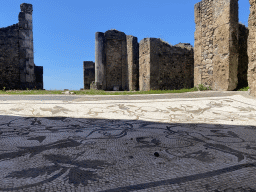 Mosaic on the floor at the House of the Sailor at the Pompeii Archeological Site