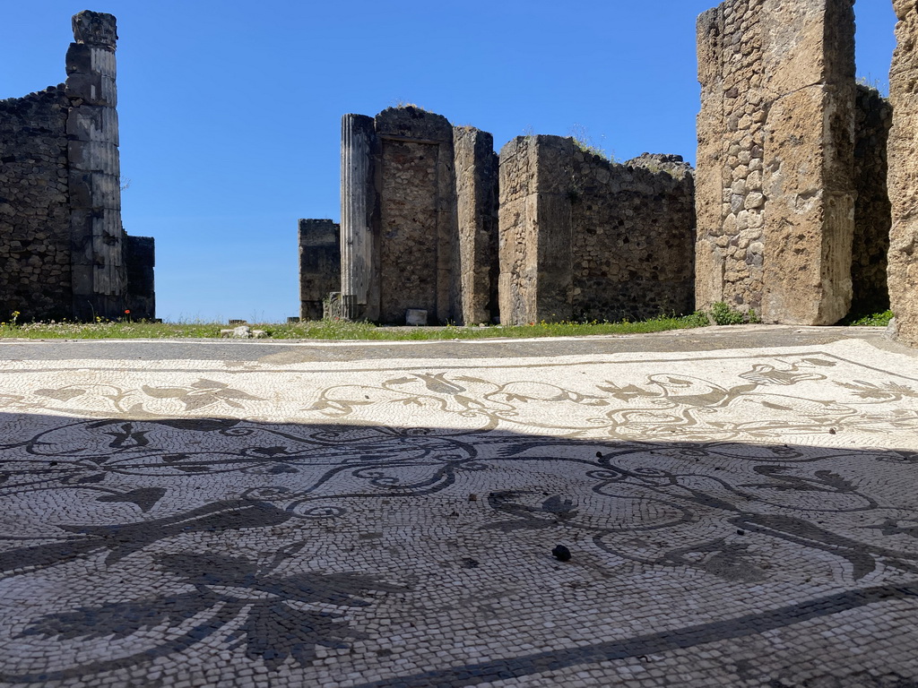 Mosaic on the floor at the House of the Sailor at the Pompeii Archeological Site