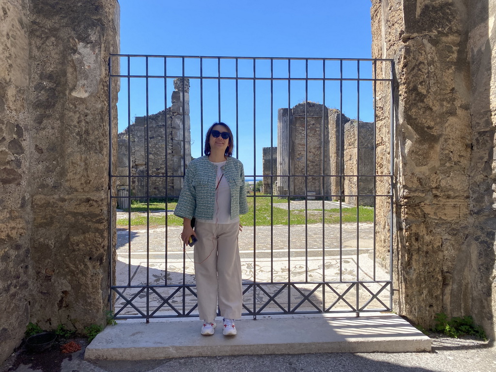 Miaomiao with a mosaic on the floor at the House of the Sailor at the Pompeii Archeological Site