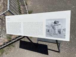 Information on the Basilica building at the Pompeii Archeological Site