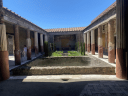 Miaomiao at the Main Atrium of the House of the Dioscuri at the Pompeii Archeological Site