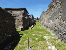 The Vicolo del Fauno street at the Pompeii Archeological Site, viewed from the Vicolo di Mercurio street