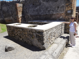 Miaomiao with a kitchen at a house at the Via Stabiana street at the Pompeii Archeological Site