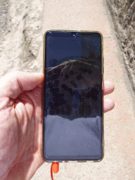 iPhone screen with an interactive map of the Pompeii Archeological Site