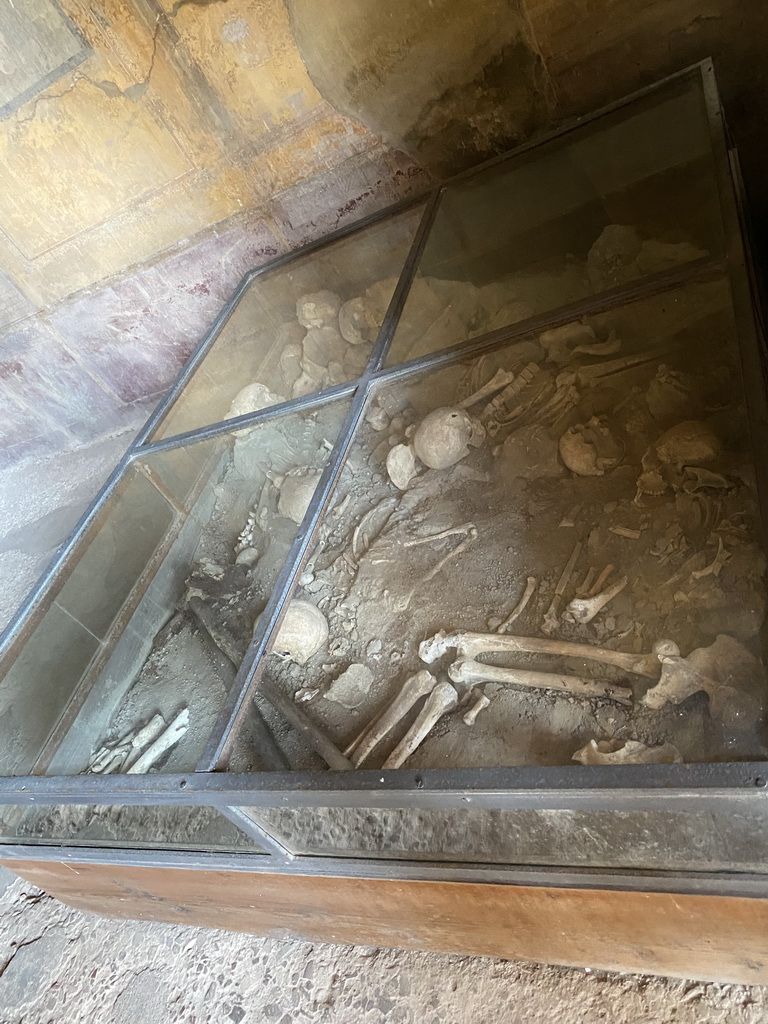 Skulls and bones at the House of Menander at the Pompeii Archeological Site