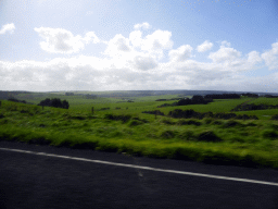 Grasslands and forests near Princetown, viewed from our tour bus on the Great Ocean Road