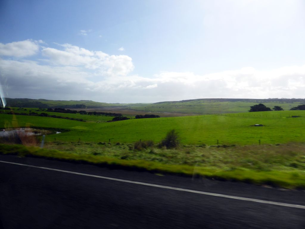 Grasslands and forests near Princetown, viewed from our tour bus on the Great Ocean Road