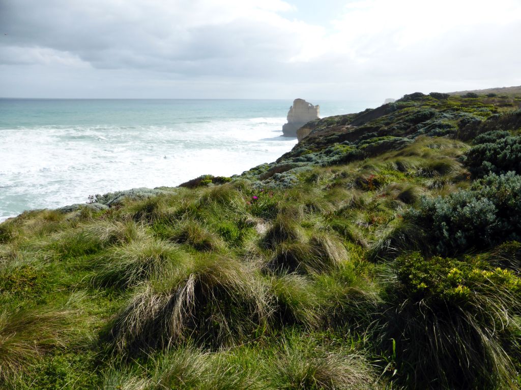 Cliffs at the coastline at the northwest side, with the most eastern rock of the Twelve Apostles rocks, viewed from the top of the Gibson Steps