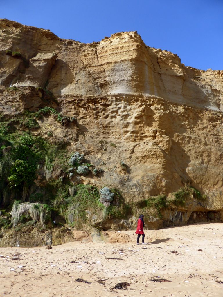 Miaomiao with cliffs with plants at the beach below the Gibson Steps