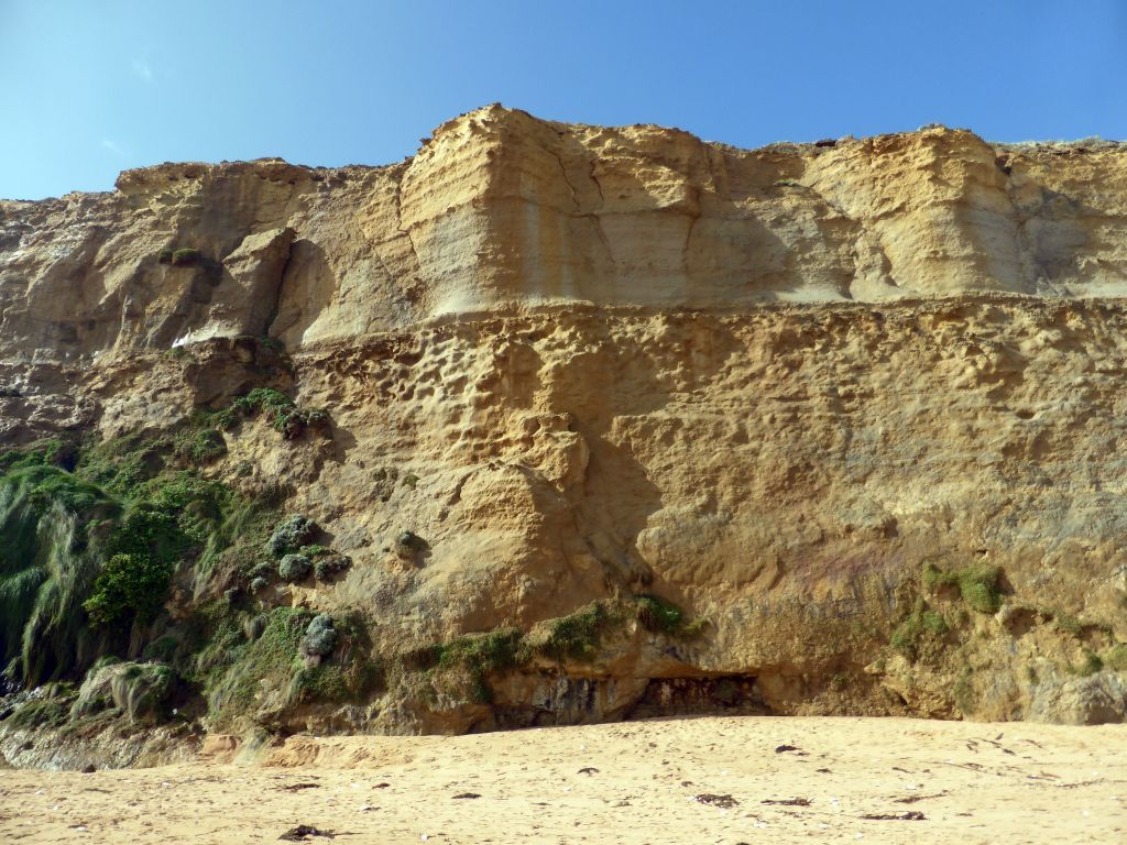 Cliffs with plants at the beach below the Gibson Steps