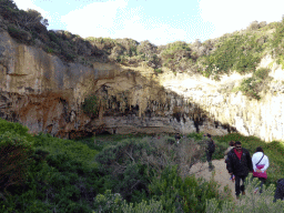 Cliff and plants at the northwest side of the Loch Ard Gorge