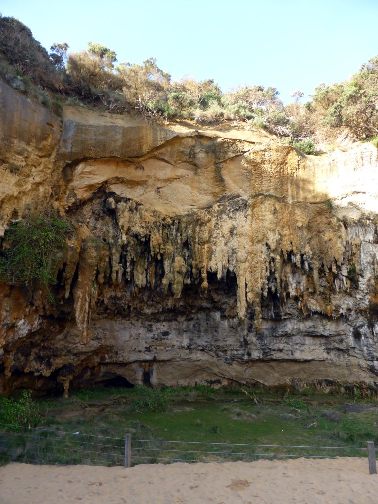 Cliff and plants at the northwest side of the Loch Ard Gorge