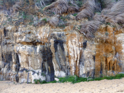 Cliff and plants at the southeast side of the Loch Ard Gorge