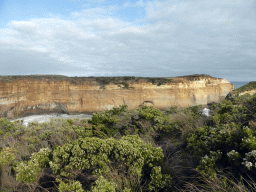 Plants at the viewing point at the southeast side, with a view on the cliff at the east side of the Loch Ard Gorge