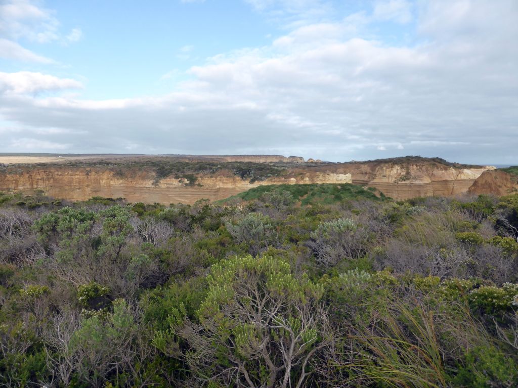 Plants at the viewing point at the southeast side, with a view on the cliff at the east side of the Loch Ard Gorge