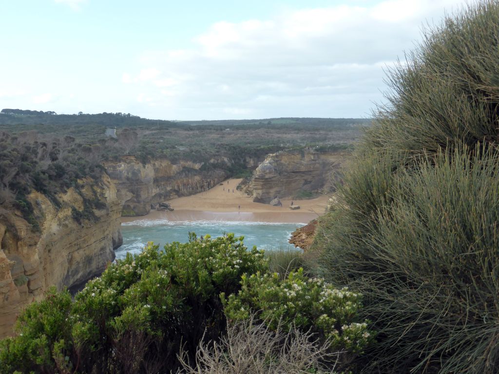 Plants at the viewing point at the southeast side, with a view on the Loch Ard Gorge