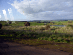 Grasslands inbetween Port Campbell and Colac, viewed from our tour bus