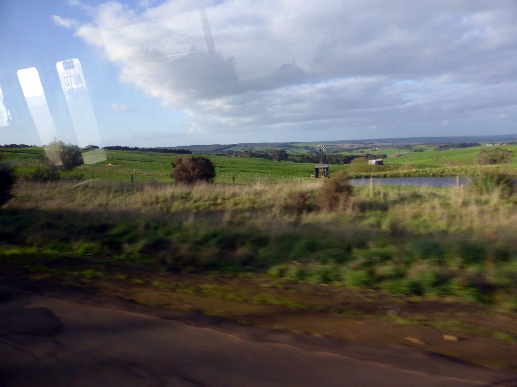 Grasslands inbetween Port Campbell and Colac, viewed from our tour bus