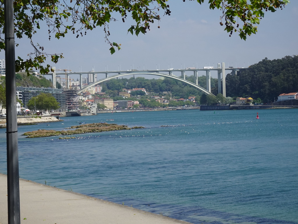 Birds and the Ponte da Arrábida over the Douro river, viewed from the sightseeing bus on the Rua de Sobreiras street