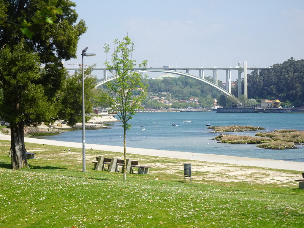 The Parque Desportivo Jardim do Calém park, birds and the Ponte da Arrábida over the Douro river, viewed from the sightseeing bus on the Rua de Sobreiras street