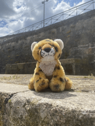 Plush Leopard at the Rua de Miragaia street