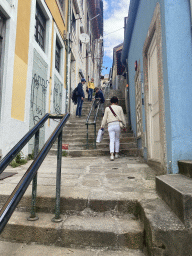Miaomiao at the Escada dos Guindais staircase