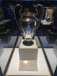 The 1987 European Champions Cup at the FC Porto Museum at the Estádio do Dragão stadium, with explanation