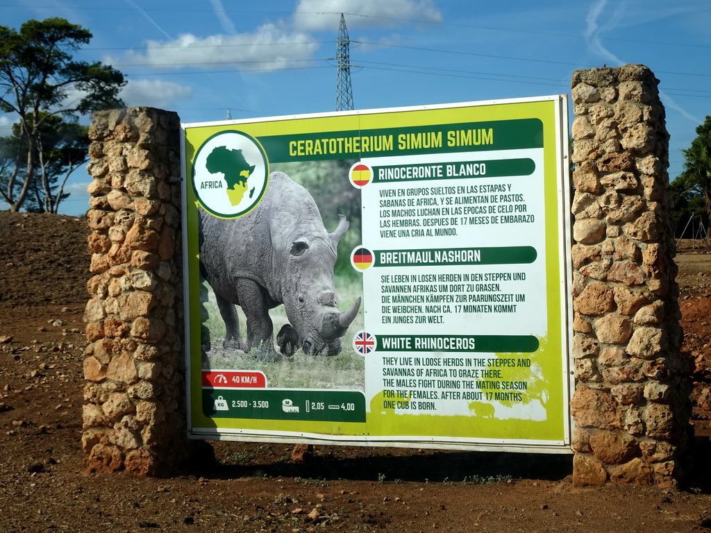 Explanation on the Square-lipped Rhinoceros at the Safari Area of the Safari Zoo Mallorca, viewed from the rental car