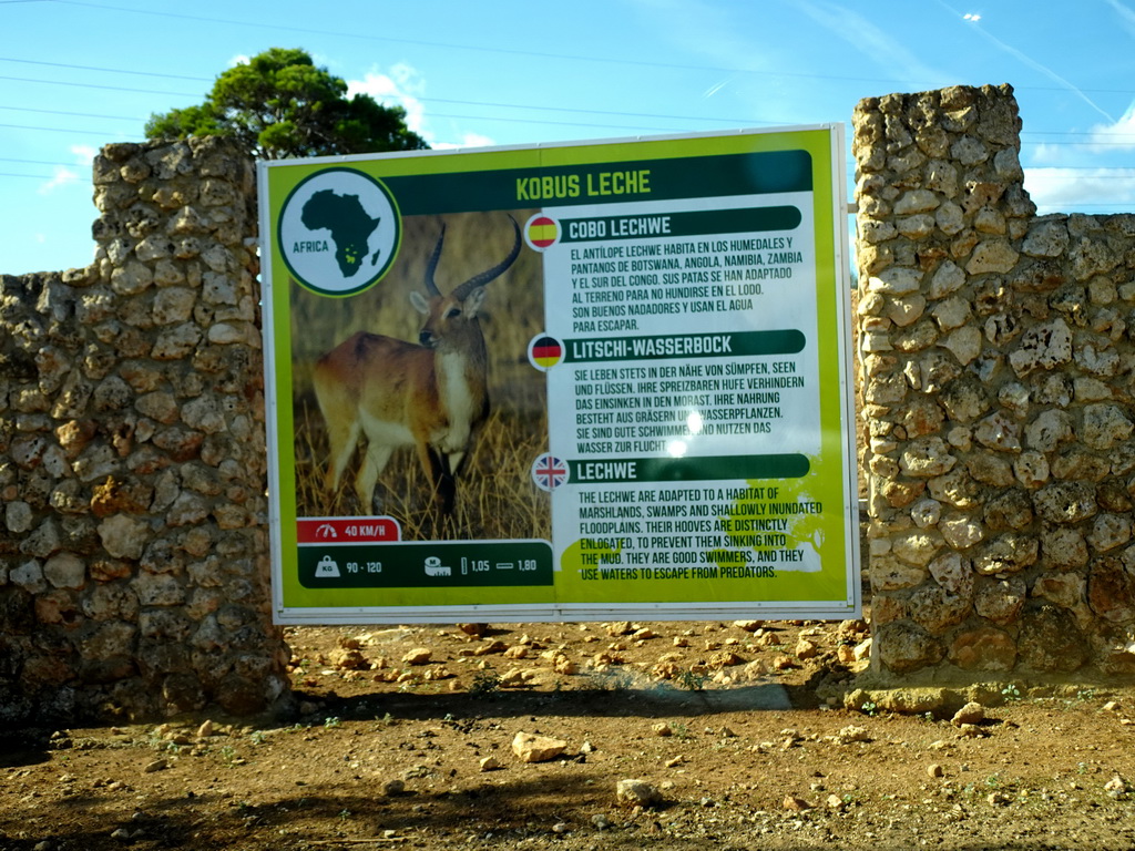 Explanation on the Lechwe at the Safari Area of the Safari Zoo Mallorca, viewed from the rental car