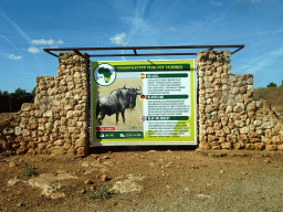 Explanation on the Blue Wildebeest at the Safari Area of the Safari Zoo Mallorca, viewed from the rental car