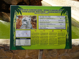 Explanation on the Crab-eating Macaque at the Zoo Area of the Safari Zoo Mallorca