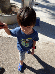 Max at the Zoo Area of the Safari Zoo Mallorca