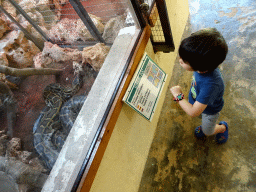 Max with a Tiger Python at the Zoo Area of the Safari Zoo Mallorca