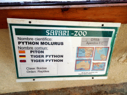 Explanation on the Tiger Python at the Zoo Area of the Safari Zoo Mallorca