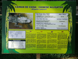 Explanation on the Chinese Alligator at the Zoo Area of the Safari Zoo Mallorca