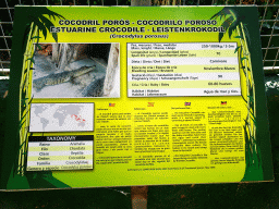 Explanation on the Estuarine Crocodile at the Zoo Area of the Safari Zoo Mallorca