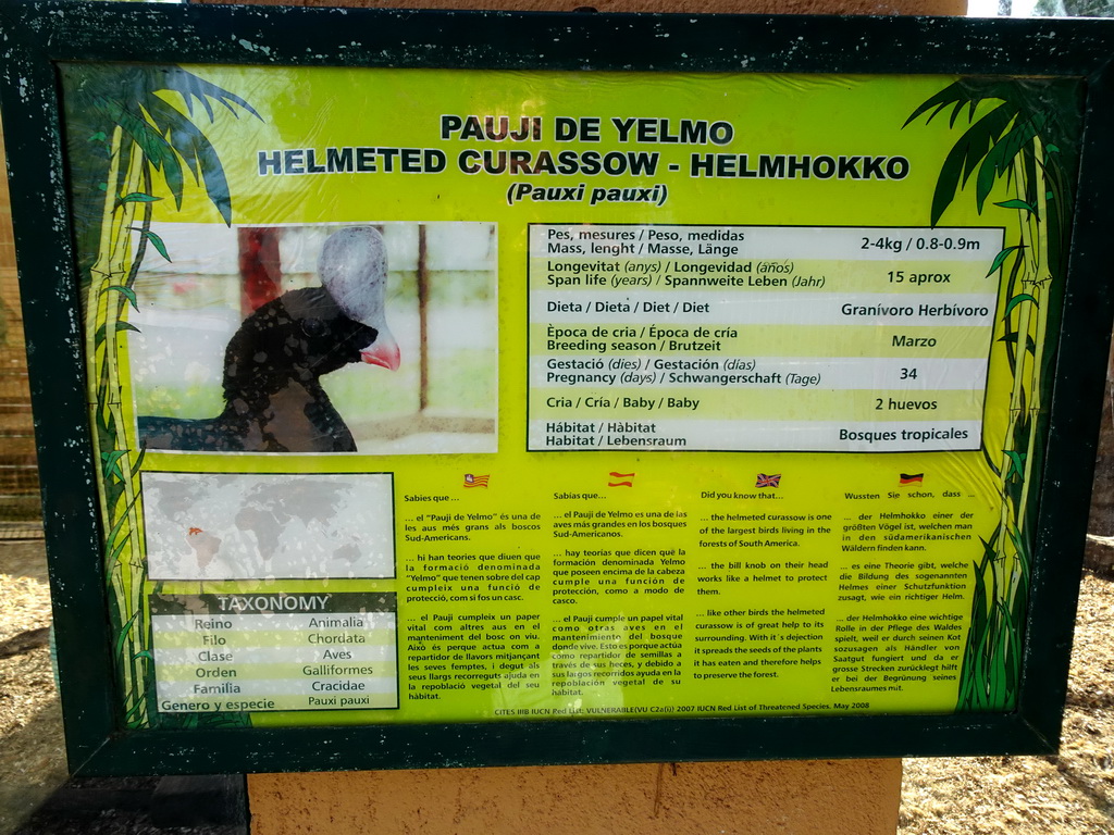 Explanation on the Helmeted Currasow at the Zoo Area of the Safari Zoo Mallorca