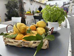 Lemons and oranges on a table at the Viale Pasitea street