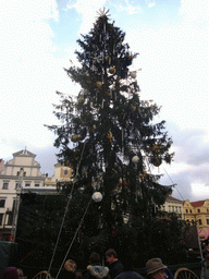 Christmas tree at Old Town Square
