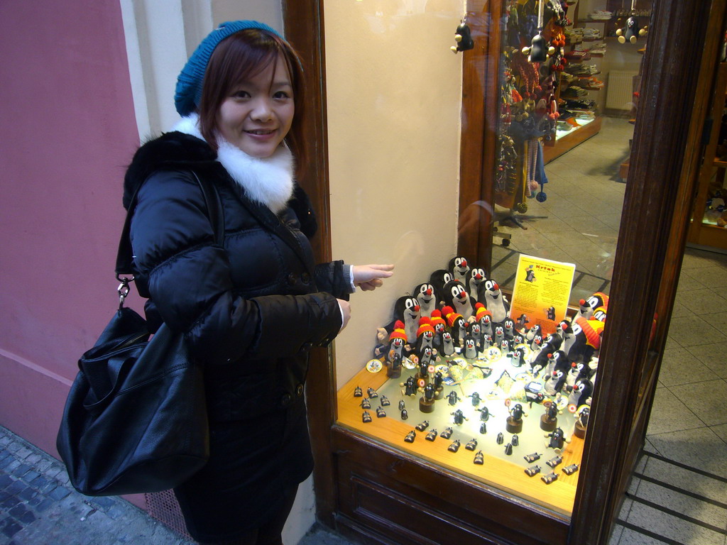Miaomiao at a shopping window with toys