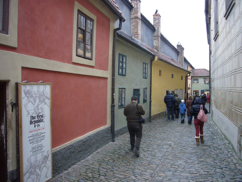 The Golden Lane